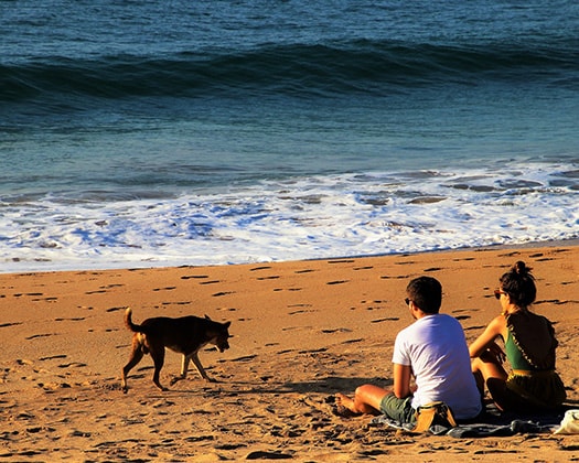 Paar mit Hund am Strand